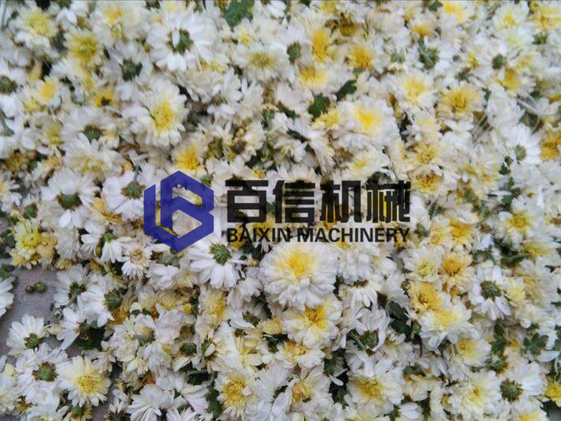 河南懷菊花烘干機(jī)
